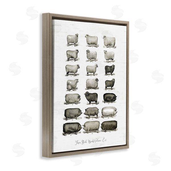 Stupell Industries Lettered And Lined | Farm Animal Breeds Pigs Sheep Diagram Chart Wall Art