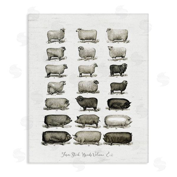 stupell industries Lettered and Lined | Farm Animal Breeds Pigs Sheep Diagram Chart Wall Art
