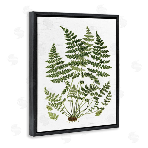 Stupell Industries Lettered And Lined | Forest Botanicals Charming White Willow Greenery