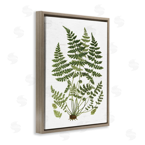Stupell Industries Lettered And Lined | Forest Botanicals Charming White Willow Greenery