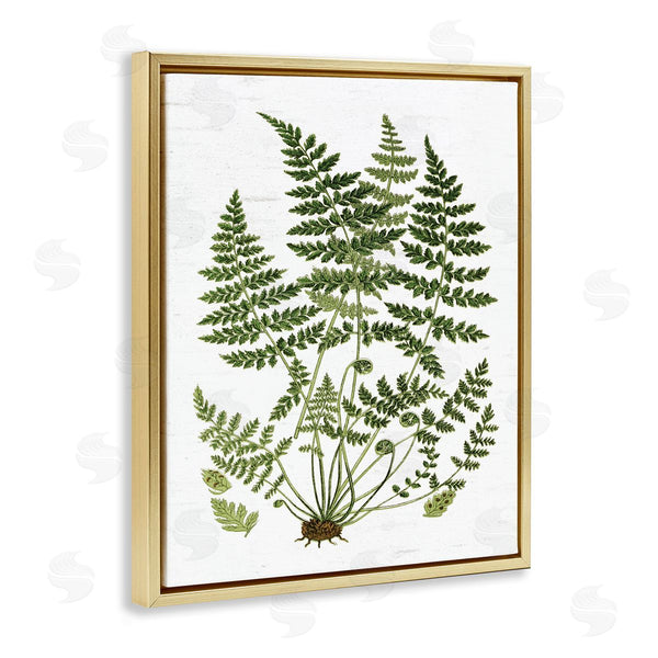 Stupell Industries Lettered And Lined | Forest Botanicals Charming White Willow Greenery