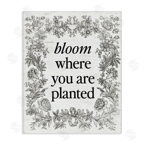 stupell industries Lettered and Lined | Inspiring Bloom with Vintage Border