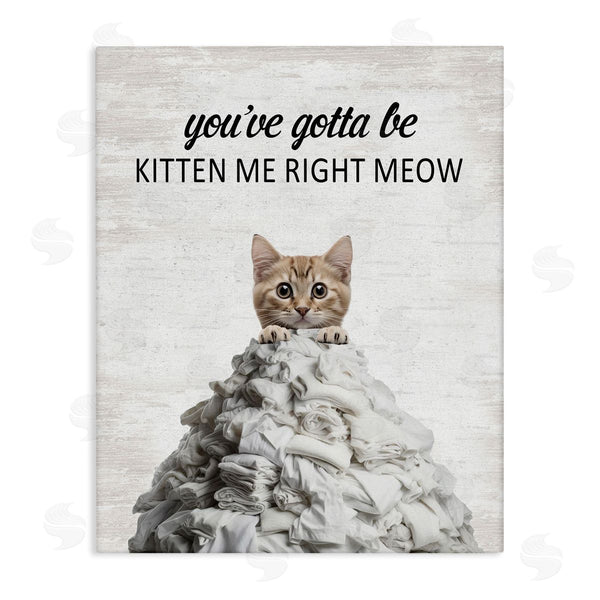 stupell industries Lettered and Lined | Kitten & Laundry Pile