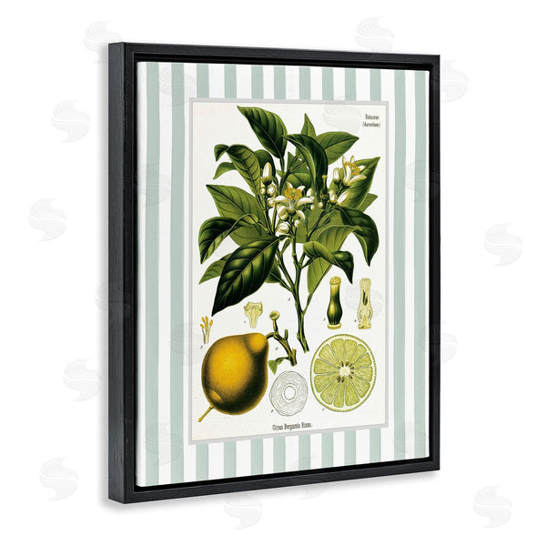 Stupell Industries Lettered And Lined | Lemon Plant Green Stripes