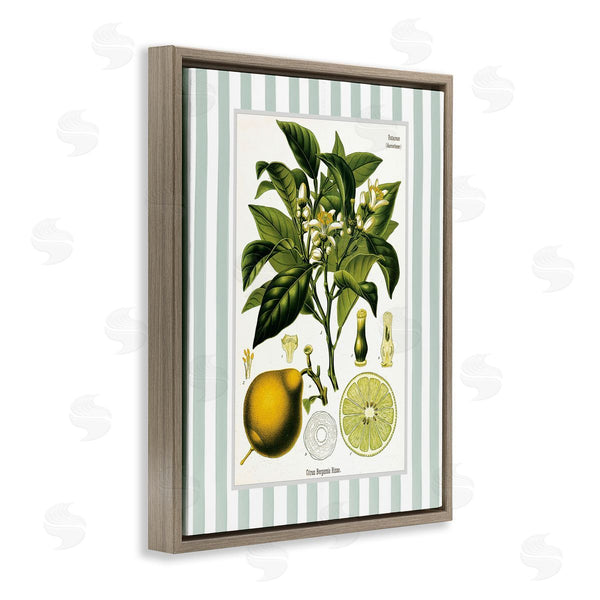 Stupell Industries Lettered And Lined | Lemon Plant Green Stripes