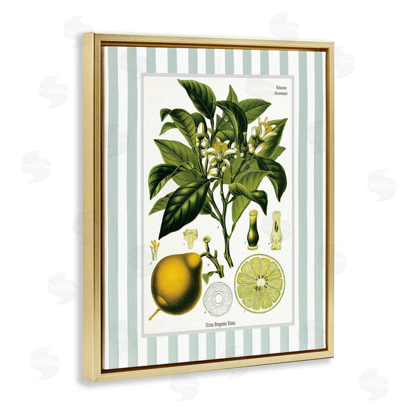 Stupell Industries Lettered And Lined | Lemon Plant Green Stripes