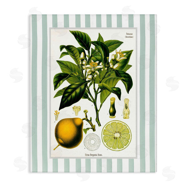 stupell industries Lettered and Lined | Lemon Plant Green Stripes