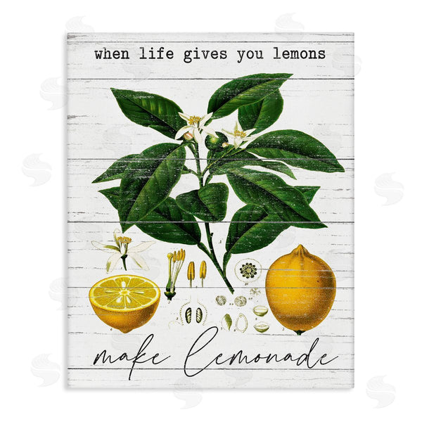 stupell industries Lettered and Lined | Life Gives Lemons Country Fruit