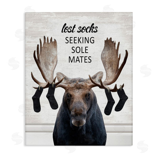 stupell industries Lettered and Lined | Lost Socks Seeking Sole Mates