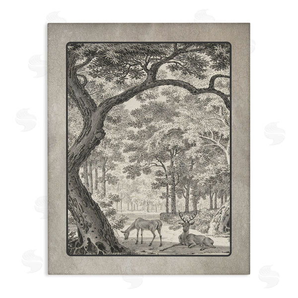 stupell industries Lettered and Lined | Lounging Deer in Forest
