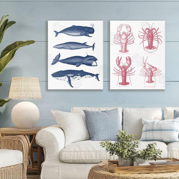 Stupell Industries Lettered And Lined | Marine Whales & Lobsters Wall Art