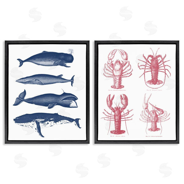 Stupell Industries Lettered And Lined | Marine Whales & Lobsters Wall Art