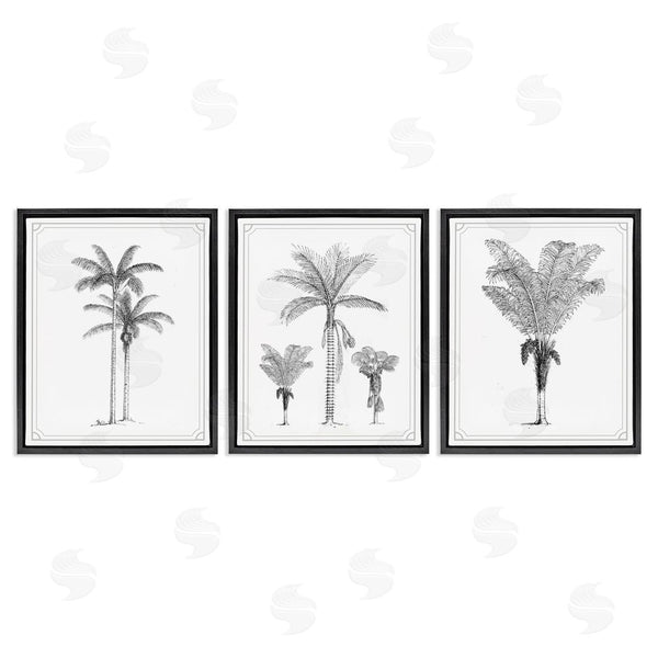 Stupell Industries Lettered And Lined | Minimal Vintage Palm Tree Sketches Wall Art