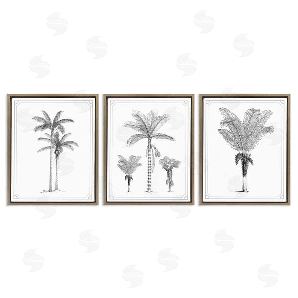 Stupell Industries Lettered And Lined | Minimal Vintage Palm Tree Sketches Wall Art