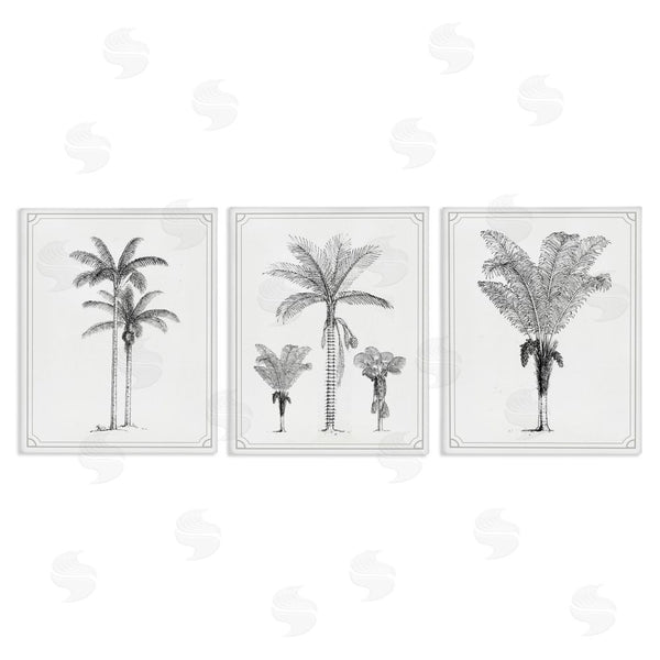 stupell industries Lettered and Lined | Minimal Vintage Palm Tree Sketches Wall Art