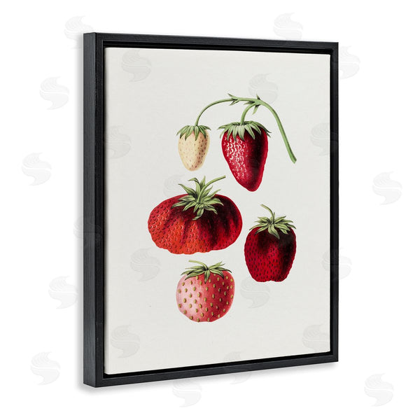 Stupell Industries Lettered And Lined | Natural Berries Study Wall Art