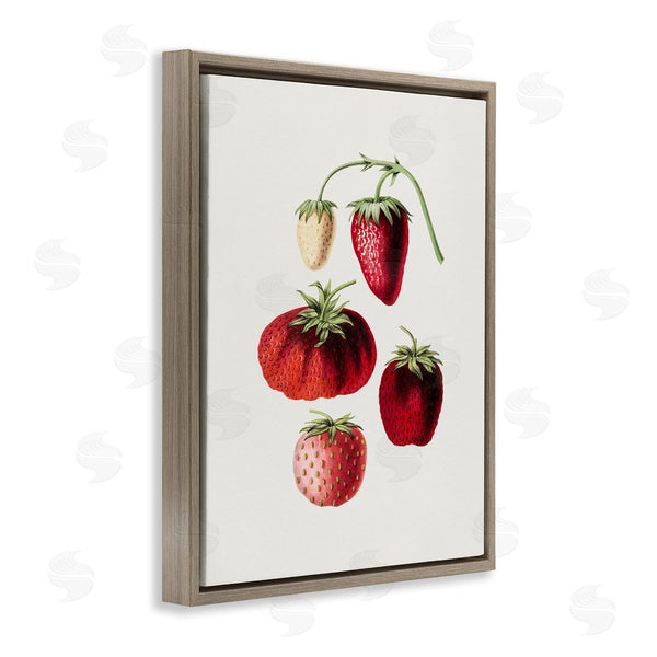 Stupell Industries Lettered And Lined | Natural Berries Study Wall Art