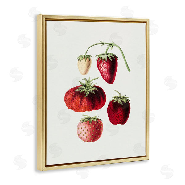 Stupell Industries Lettered And Lined | Natural Berries Study Wall Art