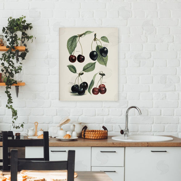 Stupell Industries Lettered And Lined | Natural Detailed Cherry Studies Wall Art