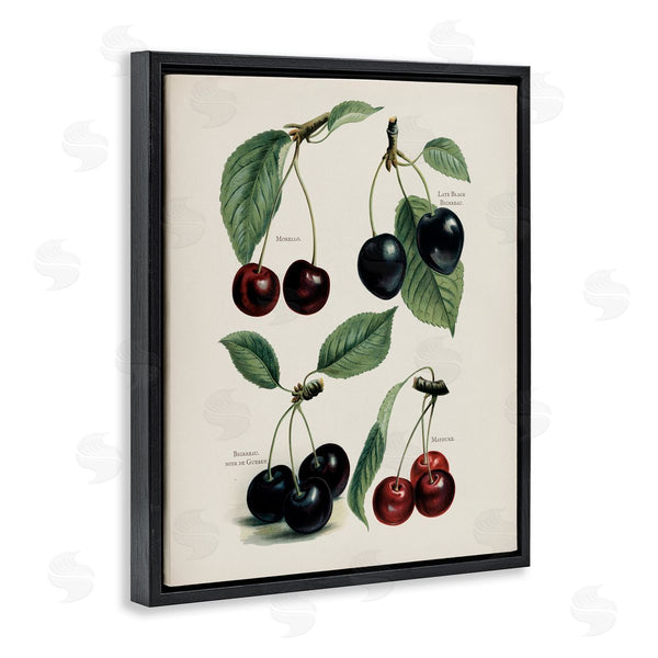 Stupell Industries Lettered And Lined | Natural Detailed Cherry Studies Wall Art