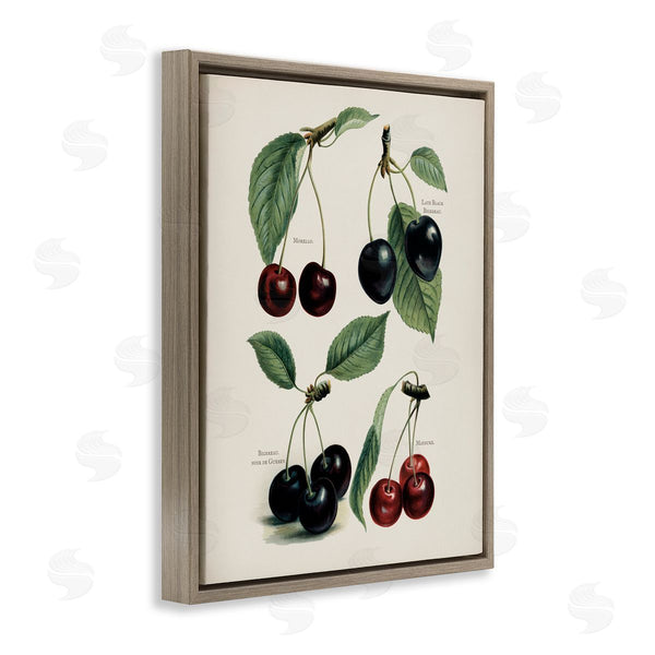 Stupell Industries Lettered And Lined | Natural Detailed Cherry Studies Wall Art
