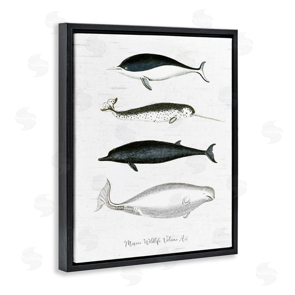 Stupell Industries Lettered And Lined | Nautical Sea Life Whales Narwhal Marine Drawings Wall Art