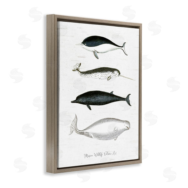 Stupell Industries Lettered And Lined | Nautical Sea Life Whales Narwhal Marine Drawings Wall Art