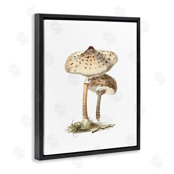 Stupell Industries Lettered And Lined | Neutral Brown Mushrooms