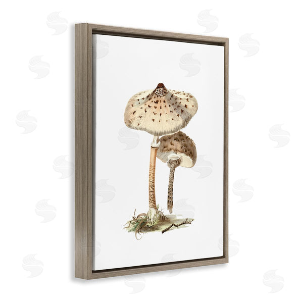 Stupell Industries Lettered And Lined | Neutral Brown Mushrooms