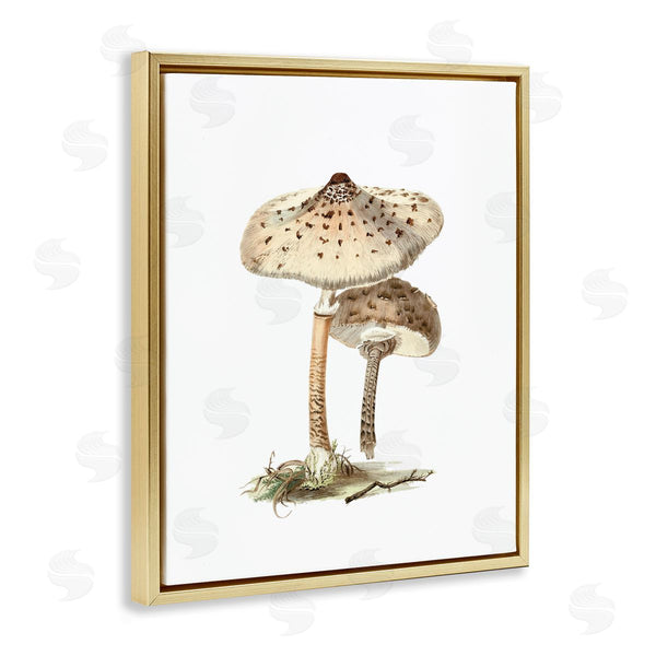 Stupell Industries Lettered And Lined | Neutral Brown Mushrooms