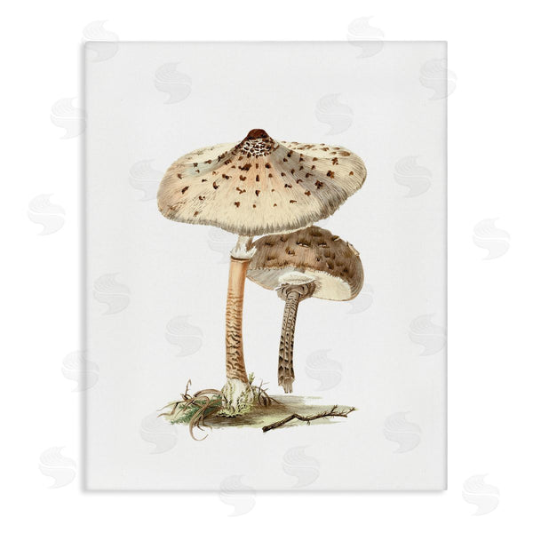stupell industries Lettered and Lined | Neutral Brown Mushrooms