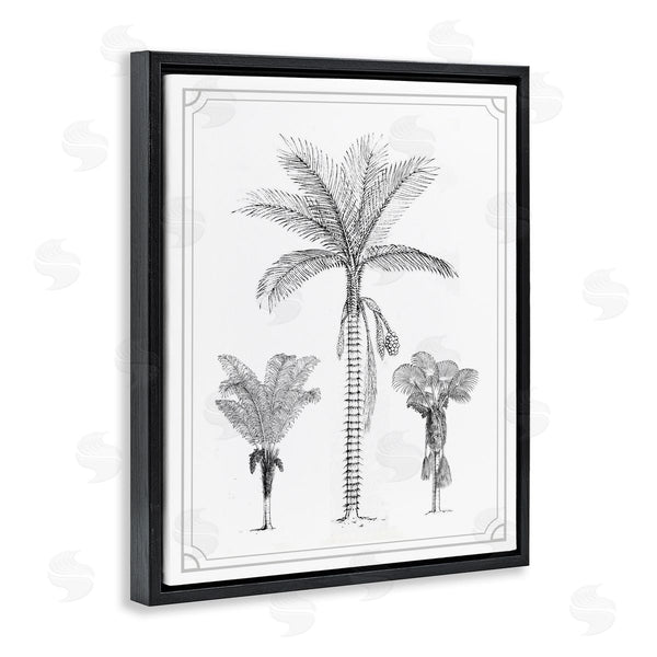 Stupell Industries Lettered And Lined | Palm Tree Trio Sketches Wall Art