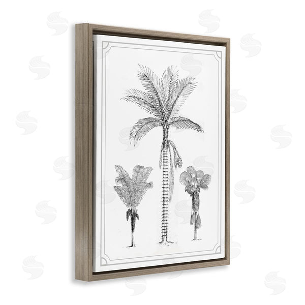 Stupell Industries Lettered And Lined | Palm Tree Trio Sketches Wall Art