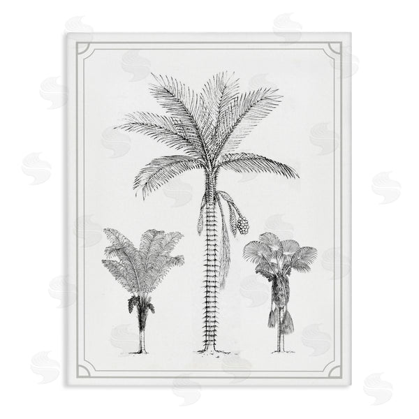 stupell industries Lettered and Lined | Palm Tree Trio Sketches Wall Art