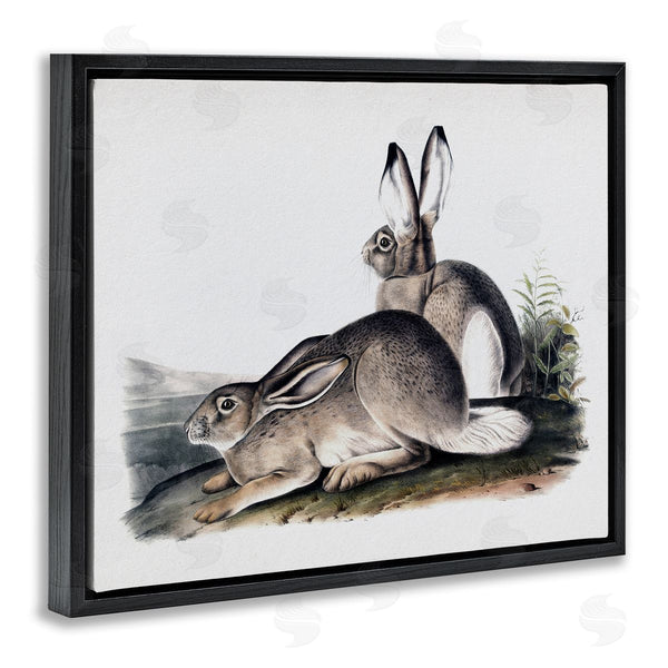 Stupell Industries Lettered And Lined | Rabbit Duo Gazing Animals Wall Art