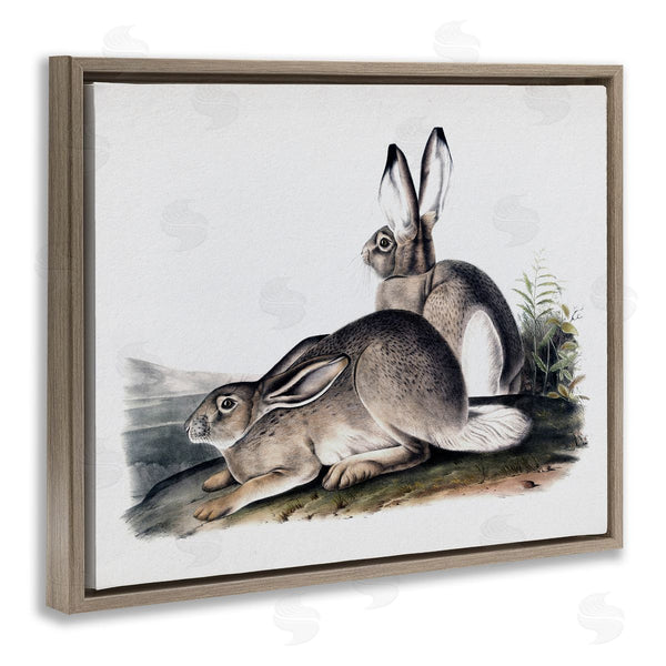 Stupell Industries Lettered And Lined | Rabbit Duo Gazing Animals Wall Art