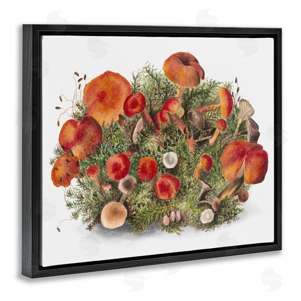 Stupell Industries Lettered And Lined | Rustic Cottage Mushrooms