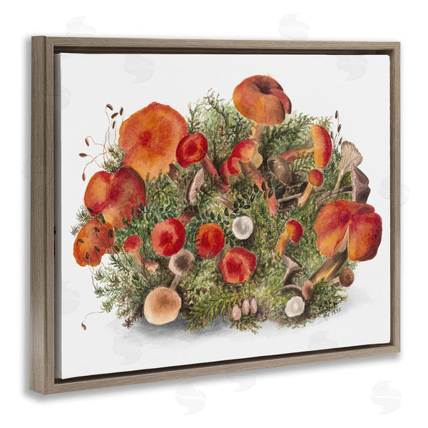 Stupell Industries Lettered And Lined | Rustic Cottage Mushrooms