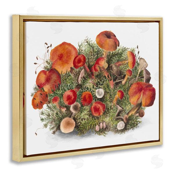 Stupell Industries Lettered And Lined | Rustic Cottage Mushrooms