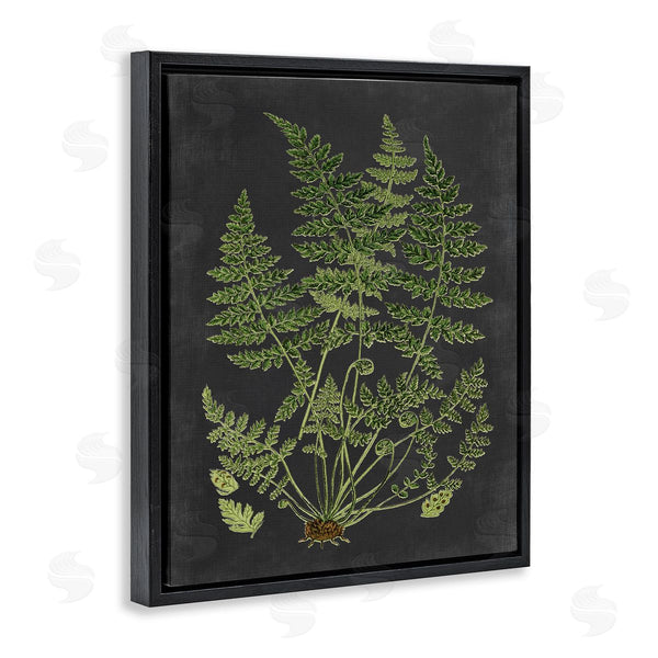 Stupell Industries Lettered And Lined | Scientific Botanical Fern Drawing