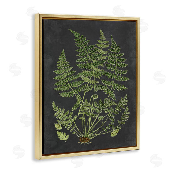 Stupell Industries Lettered And Lined | Scientific Botanical Fern Drawing