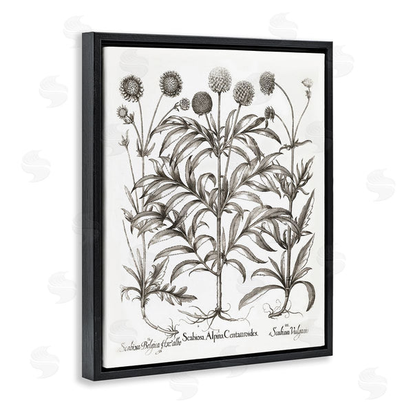 Stupell Industries Lettered And Lined | Scientific Vintage Flowers