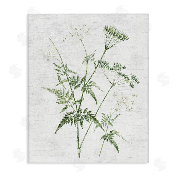 stupell industries Lettered and Lined | Soft Blooming Bud