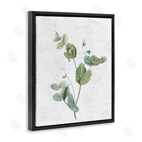 Stupell Industries Lettered And Lined | Soft Country Botanical