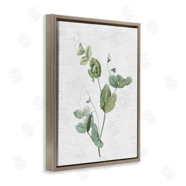 Stupell Industries Lettered And Lined | Soft Country Botanical