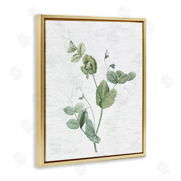 Stupell Industries Lettered And Lined | Soft Country Botanical