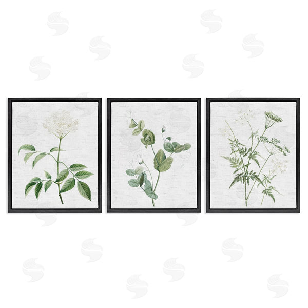 Stupell Industries Lettered And Lined | Soft White Botanicals