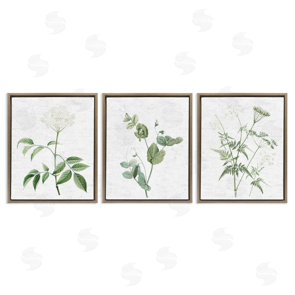 Stupell Industries Lettered And Lined | Soft White Botanicals
