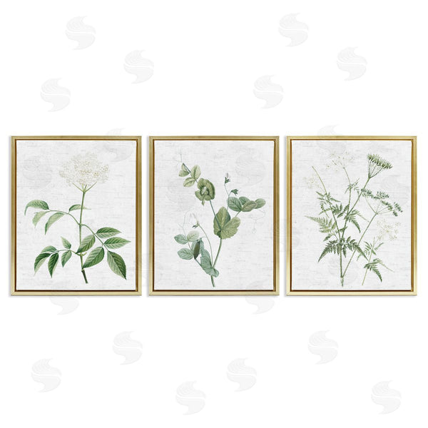 Stupell Industries Lettered And Lined | Soft White Botanicals