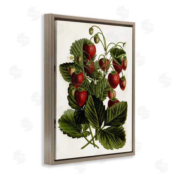 Stupell Industries Lettered And Lined | Strawberry Plant Study